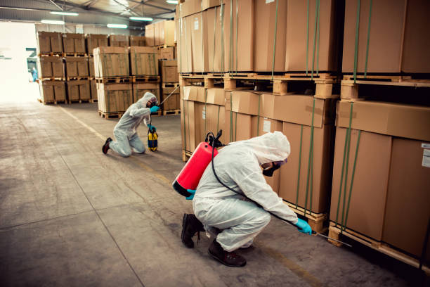 Best Best Pest Control Companies  in Valley City, ND