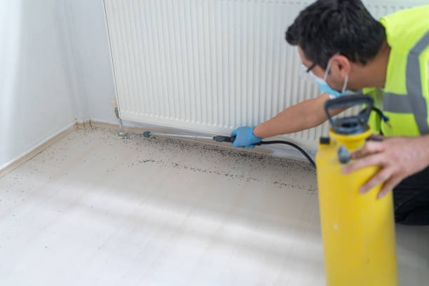 Best Bed Bug Extermination  in Valley City, ND